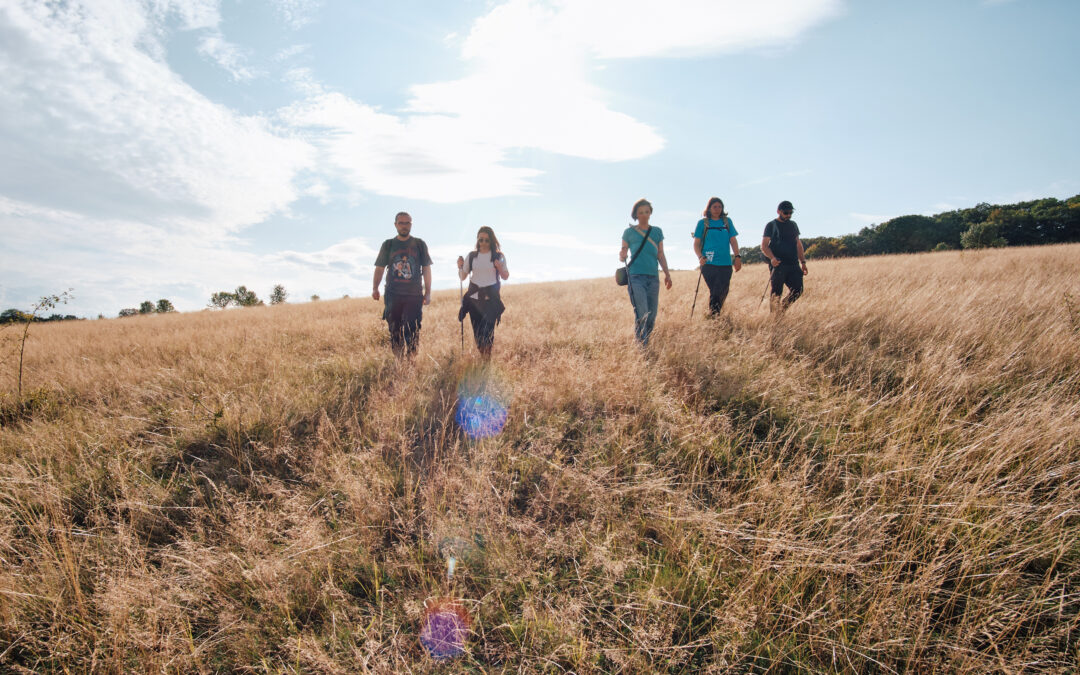 Excursie pe trasee tematice (în județ)